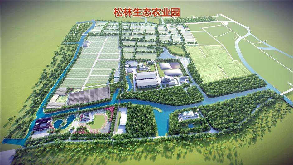 Shanghai Makes Strides Towards 'Zero-Waste' City