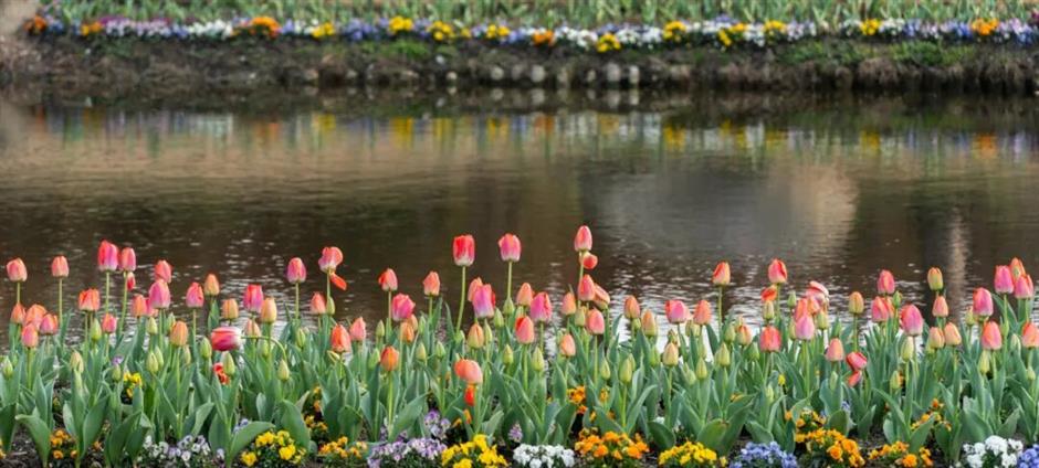 免费入园!上海这片滨江秘境,把整个春天都搬来了