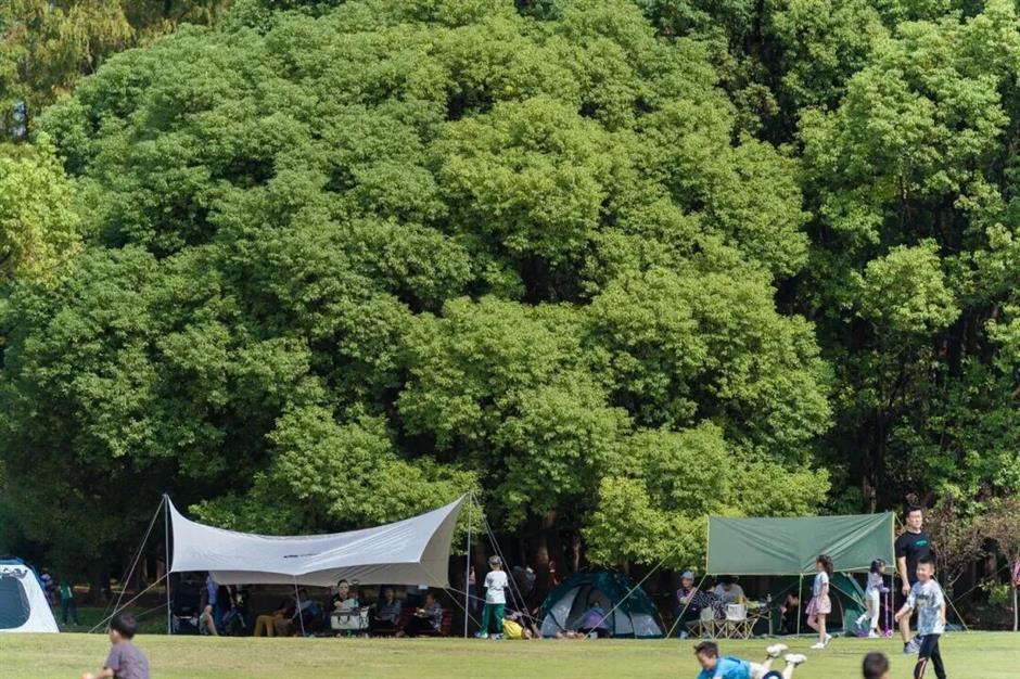 免费入园!上海这片滨江秘境,把整个春天都搬来了