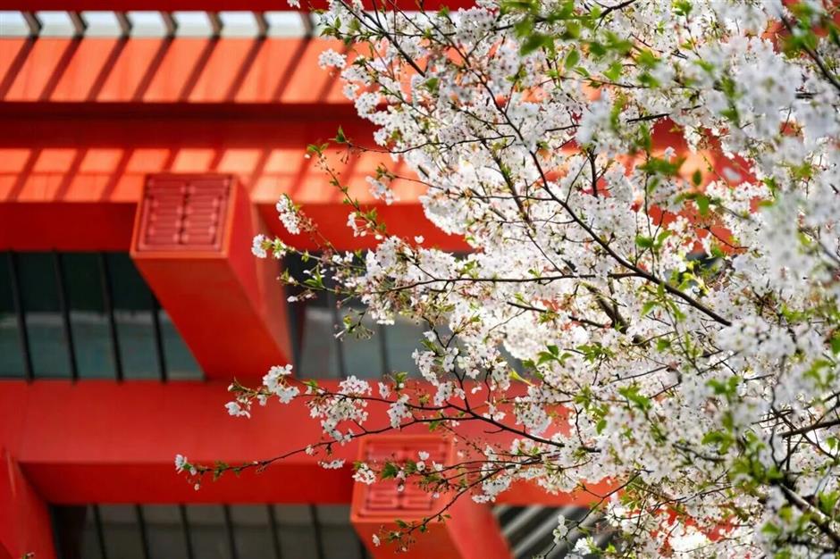 4月美展上新!来上海看大展啦