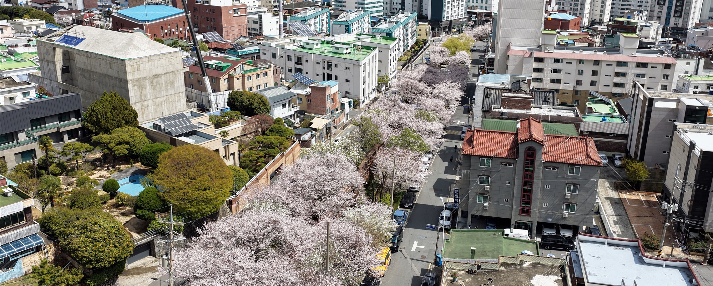 South Korea Eases Multiple-Entry Visa Rules for Chinese