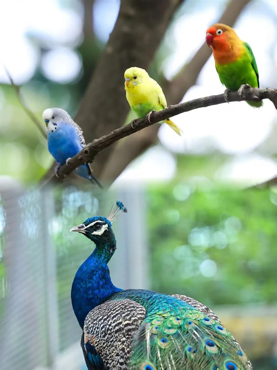 上海欢乐谷一站式溜娃攻略,超全!速码!