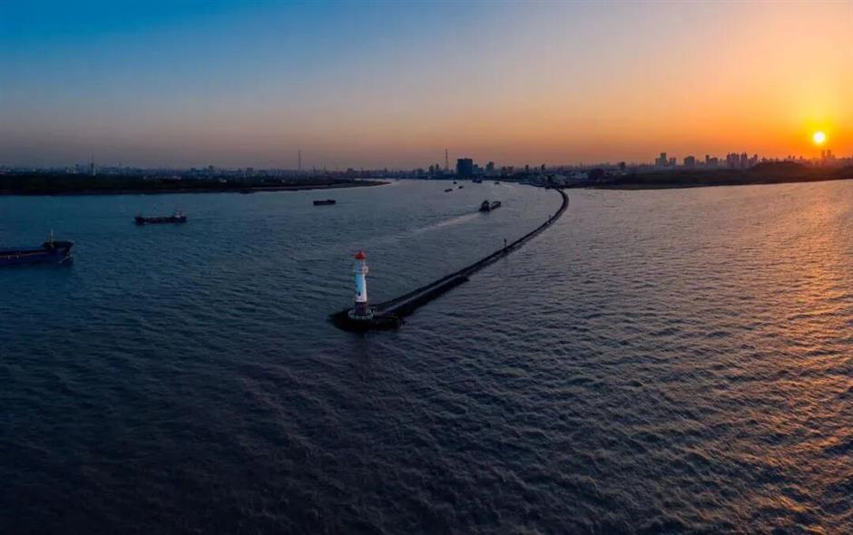 免费入园!上海这片滨江秘境,把整个春天都搬来了