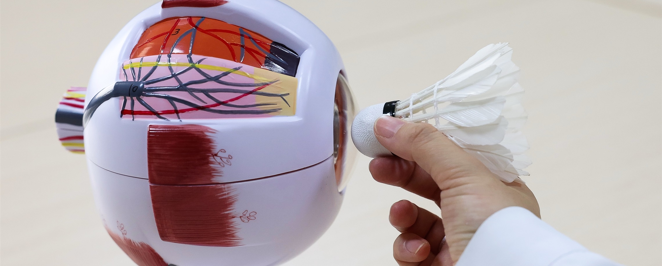 The Risks to Your Eyes While Playing Badminton