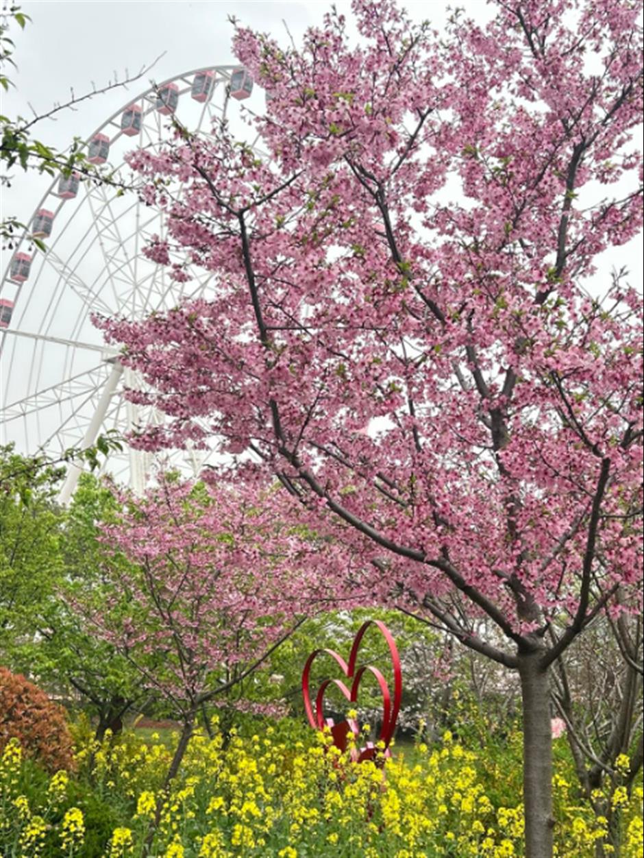 [Hai Guide] Explore the Flowers and Exhibitions This Spring