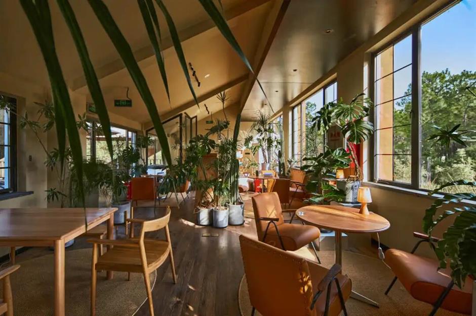 一夜盛放!140万㎡免费公园迎来最美花期