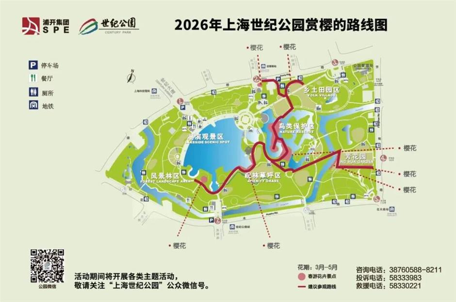 全城浪漫暴擊!上海櫻吹雪上線