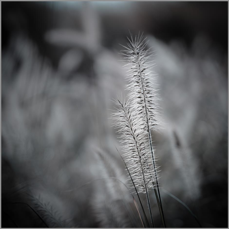 [ChinaMaxxing] 24 Excuses to Eat According to the Chinese Solar Calendar