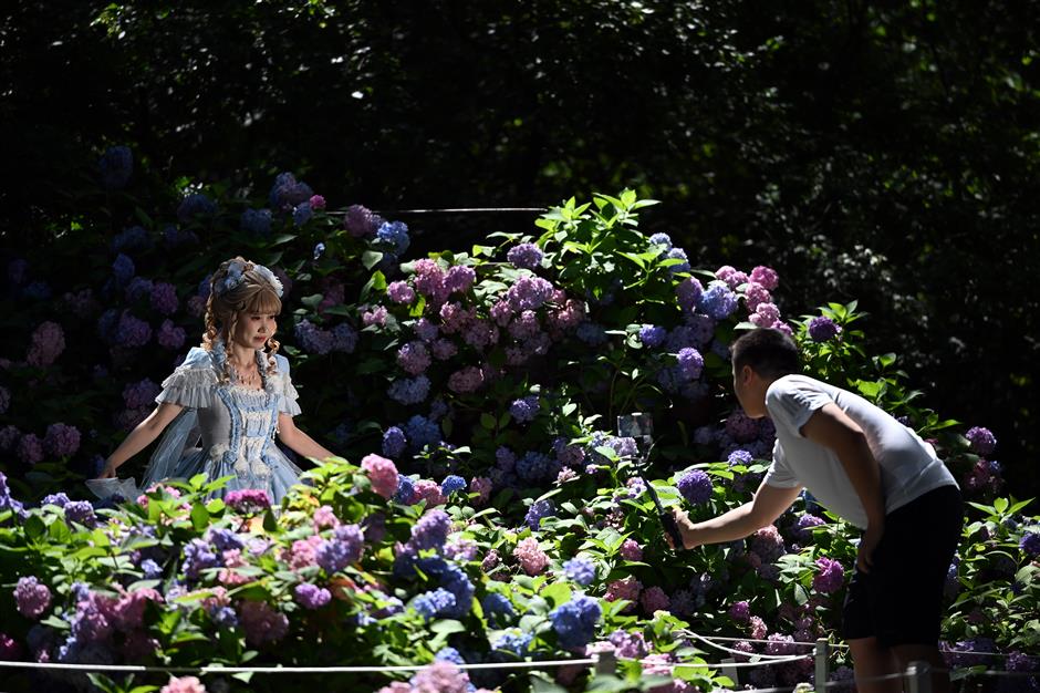 [ChinaMaxxing] 24 Excuses to Eat According to the Chinese Solar Calendar