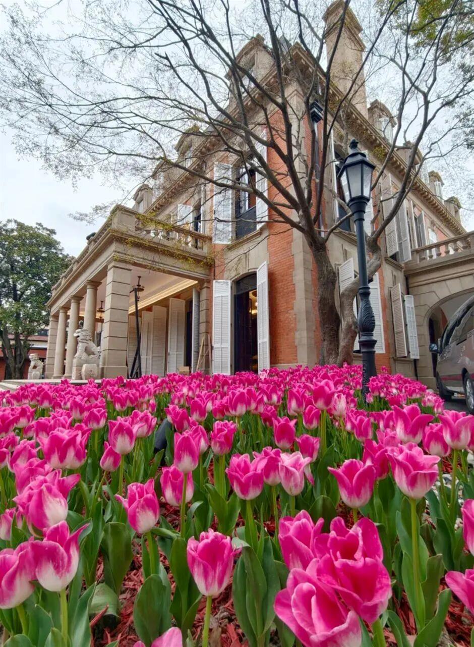 老建筑焕新!上海这些百年地标惊艳亮相