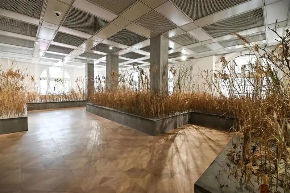 老建筑焕新!上海这些百年地标惊艳亮相