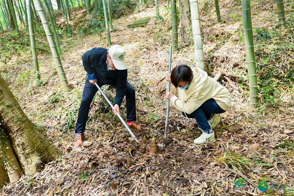 鲜!挖野菜、品青团、尝春鲜,就这么过春天