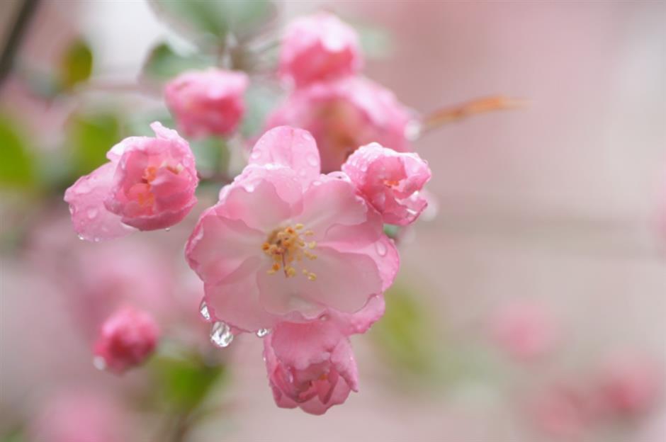 不用等天晴,市中心这个免费园林雨天更惊艳→