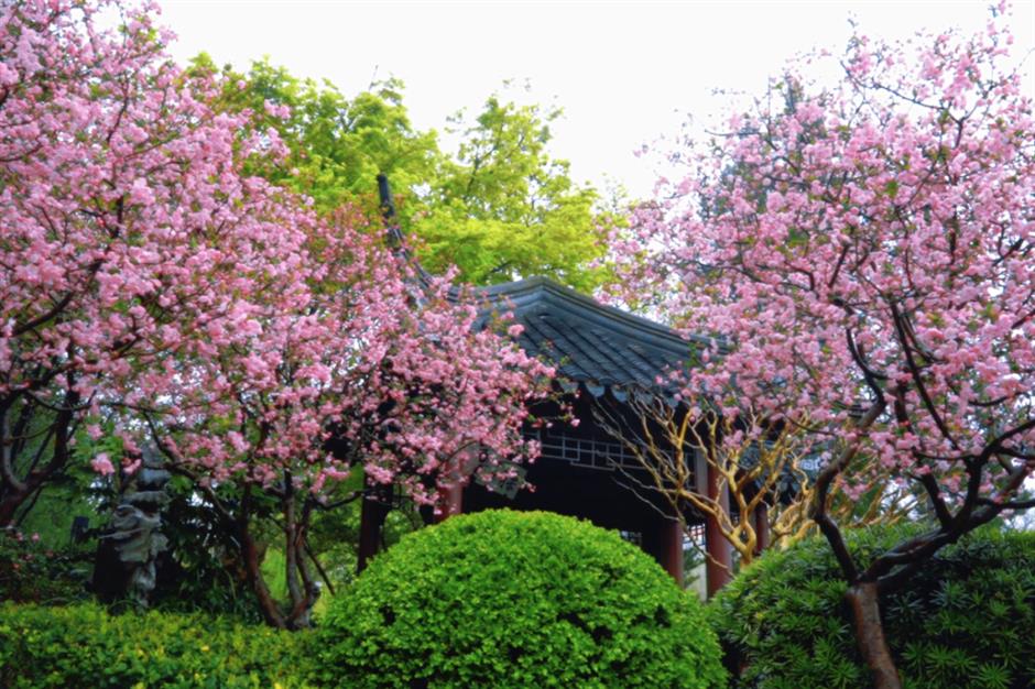 不用等天晴,市中心这个免费园林雨天更惊艳→