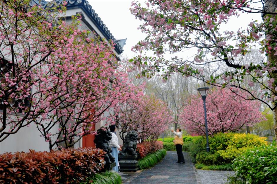 不用等天晴,市中心这个免费园林雨天更惊艳→