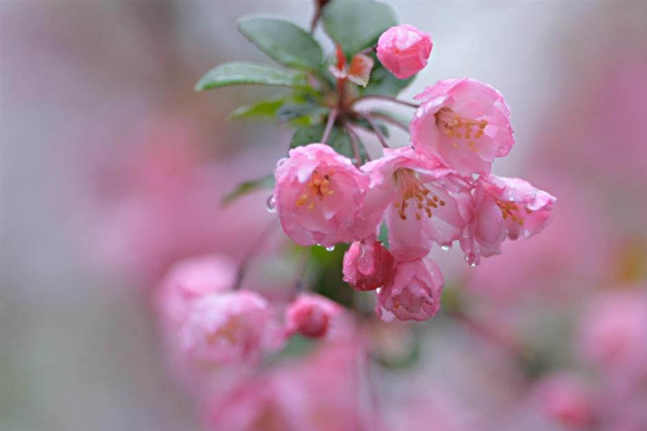 不用等天晴,市中心这个免费园林雨天更惊艳→