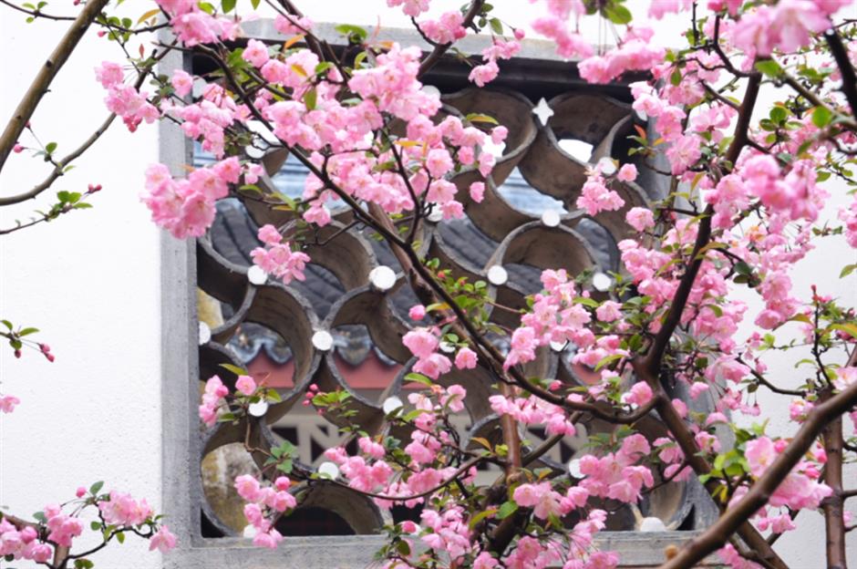 不用等天晴,市中心这个免费园林雨天更惊艳→