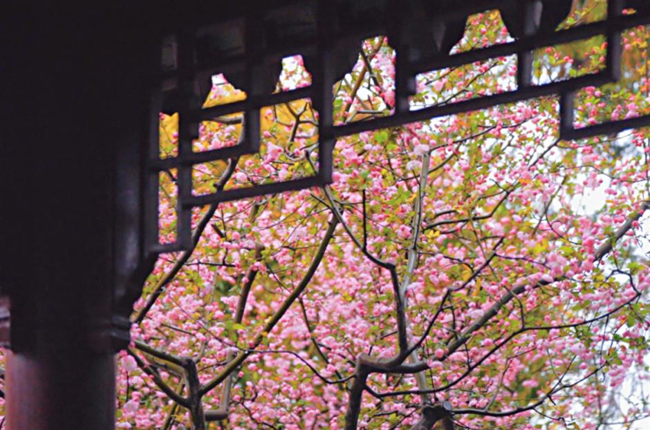 不用等天晴,市中心这个免费园林雨天更惊艳→