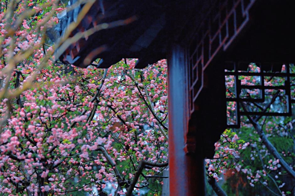 不用等天晴,市中心这个免费园林雨天更惊艳→