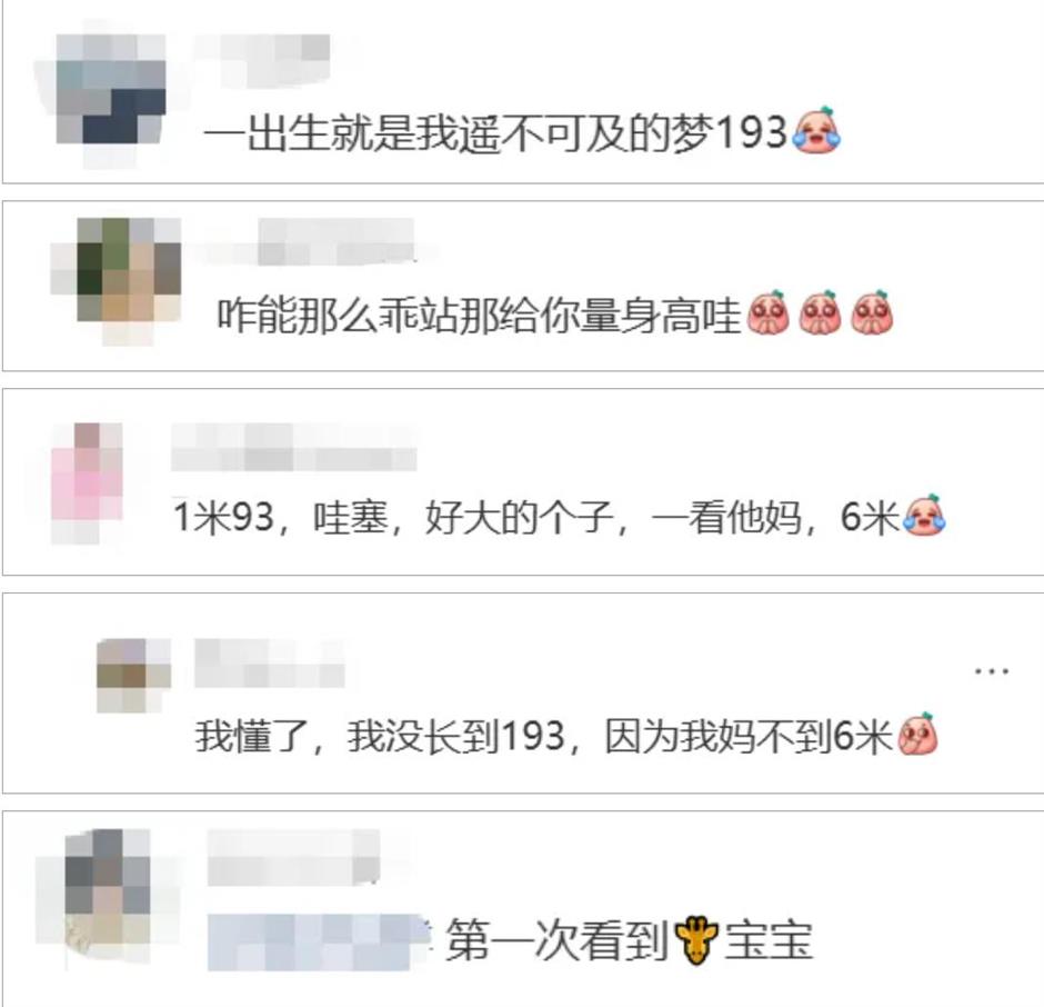 上海动物园长颈鹿萌宝亮相啦!刚出生就1米93!