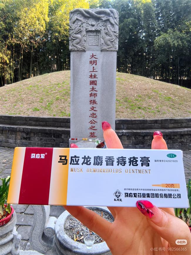 Pain Killers for Cao Cao, Hemorrhoid Cream for Zhang Juzheng: Gen Z's Playful Tomb Offerings Go Viral