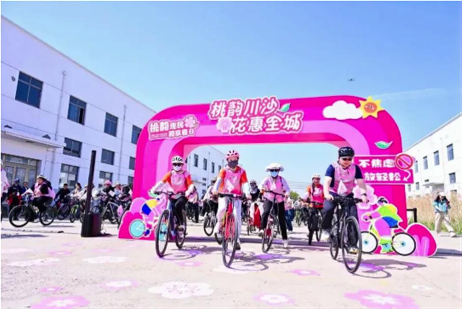 清明假日,本市共接待游客739.76万人次