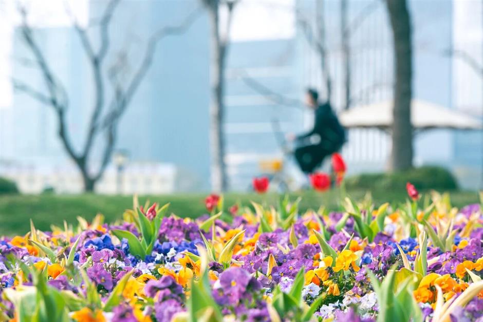 [First in Shanghai] SH's First-Launch Economy Is Changing How We Shop