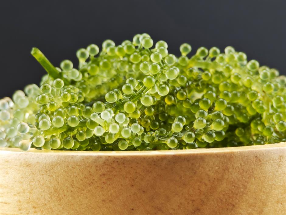 [Movers & Shakers] Yi-Wen Lee, The 'Plant-Forward Chef Educator'