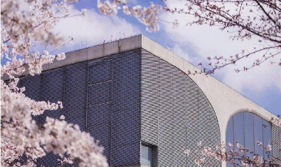 一馆多展!高效看展还出片,半数免费