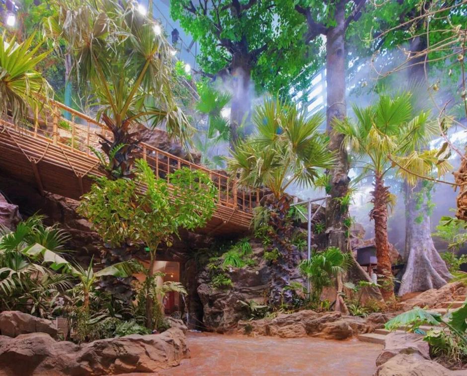 热带雨林+1!上海这些秘境绿意拉满!