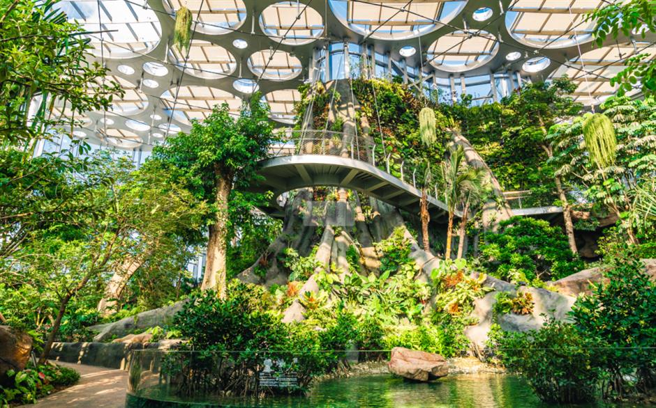 热带雨林+1!上海这些秘境绿意拉满!