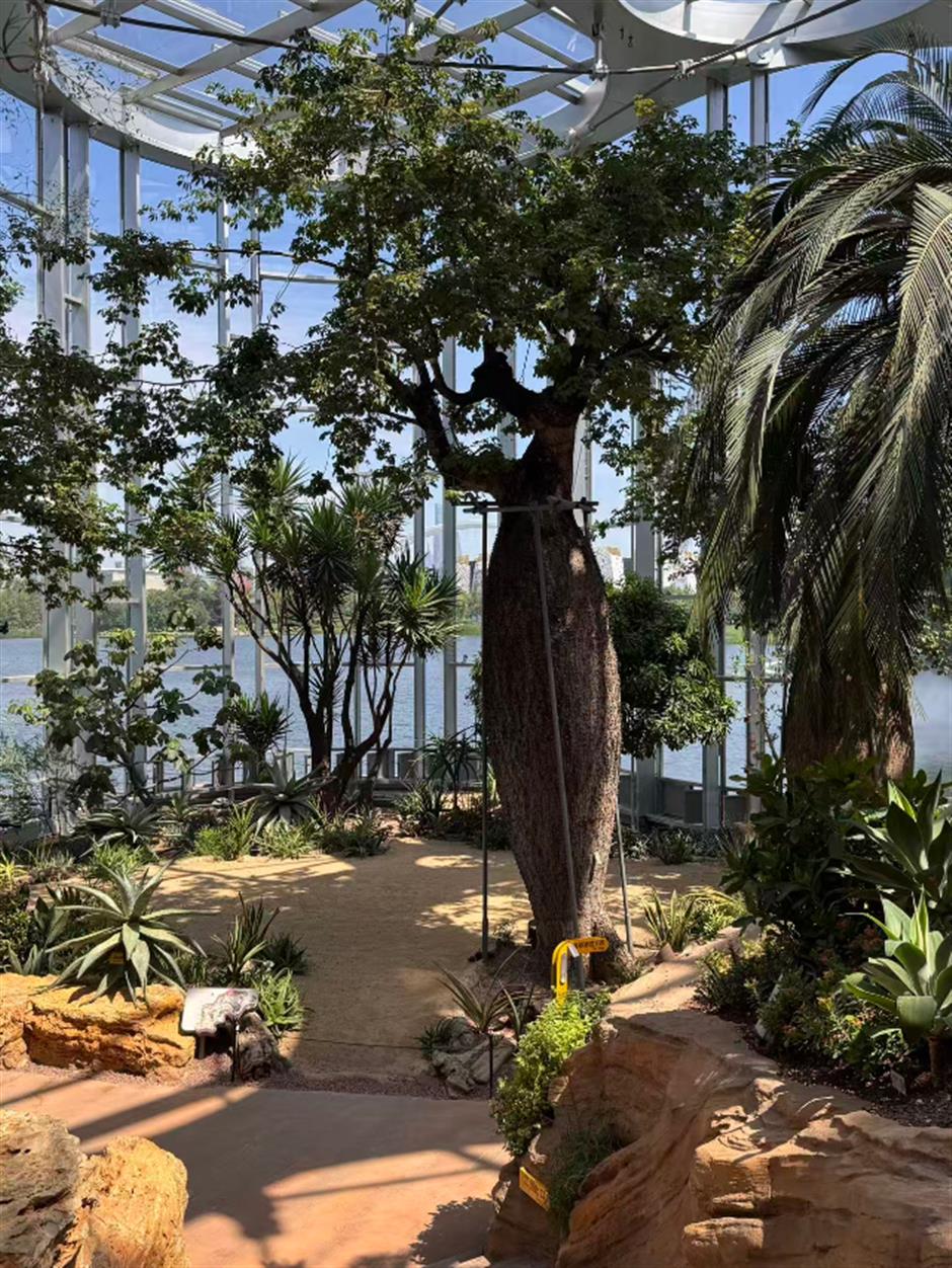 热带雨林+1!上海这些秘境绿意拉满!