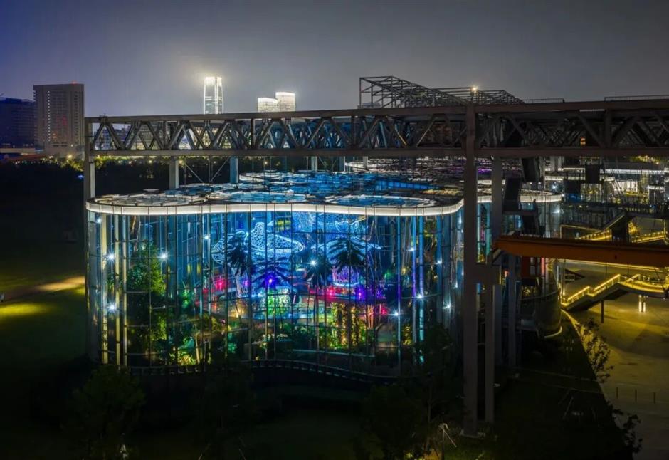 热带雨林+1!上海这些秘境绿意拉满!