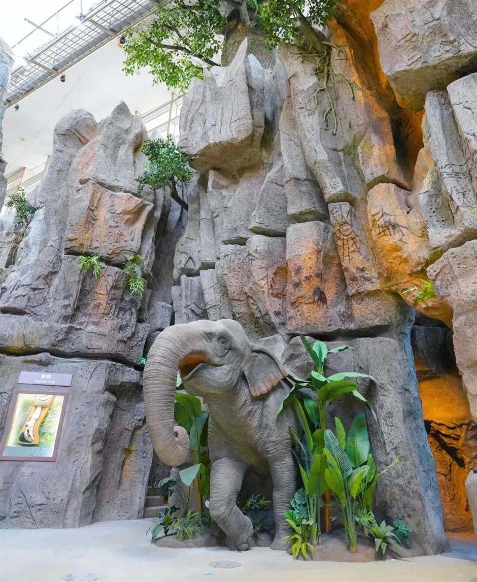 热带雨林+1!上海这些秘境绿意拉满!