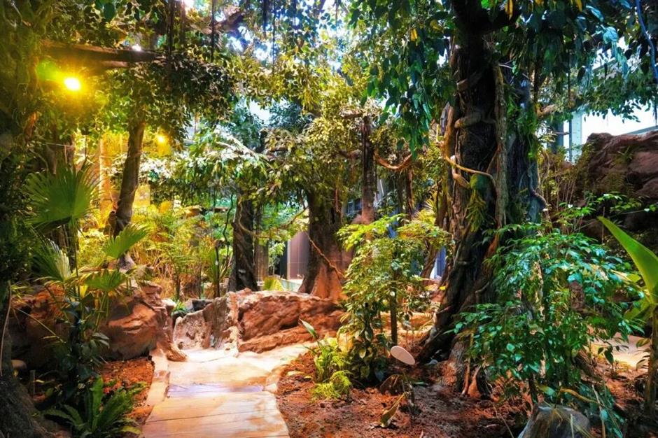 热带雨林+1!上海这些秘境绿意拉满!