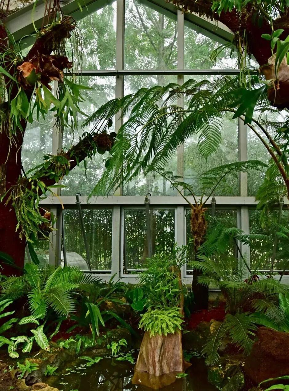 热带雨林+1!上海这些秘境绿意拉满!