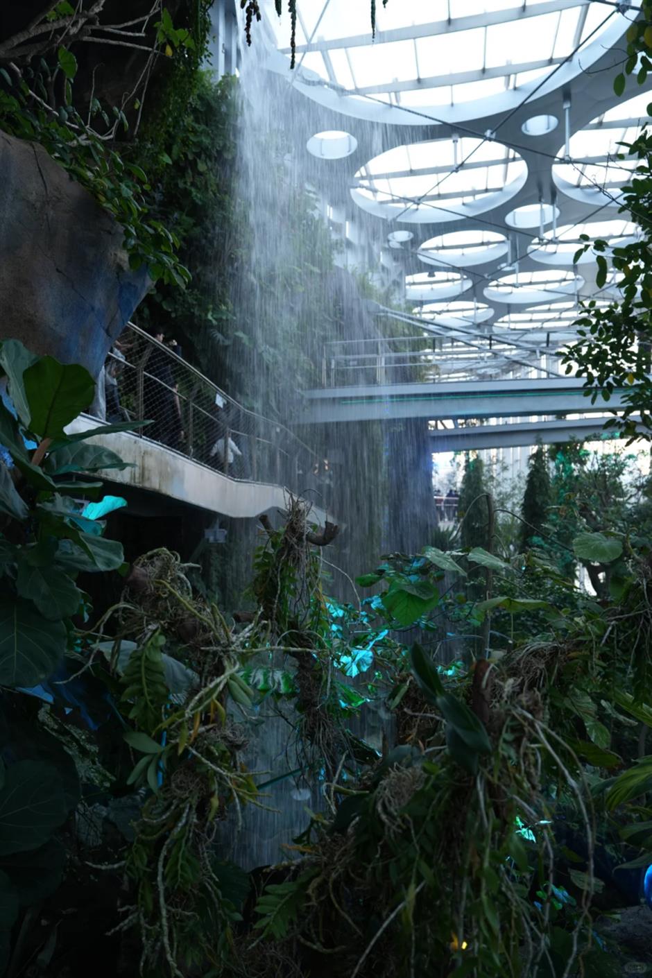 热带雨林+1!上海这些秘境绿意拉满!