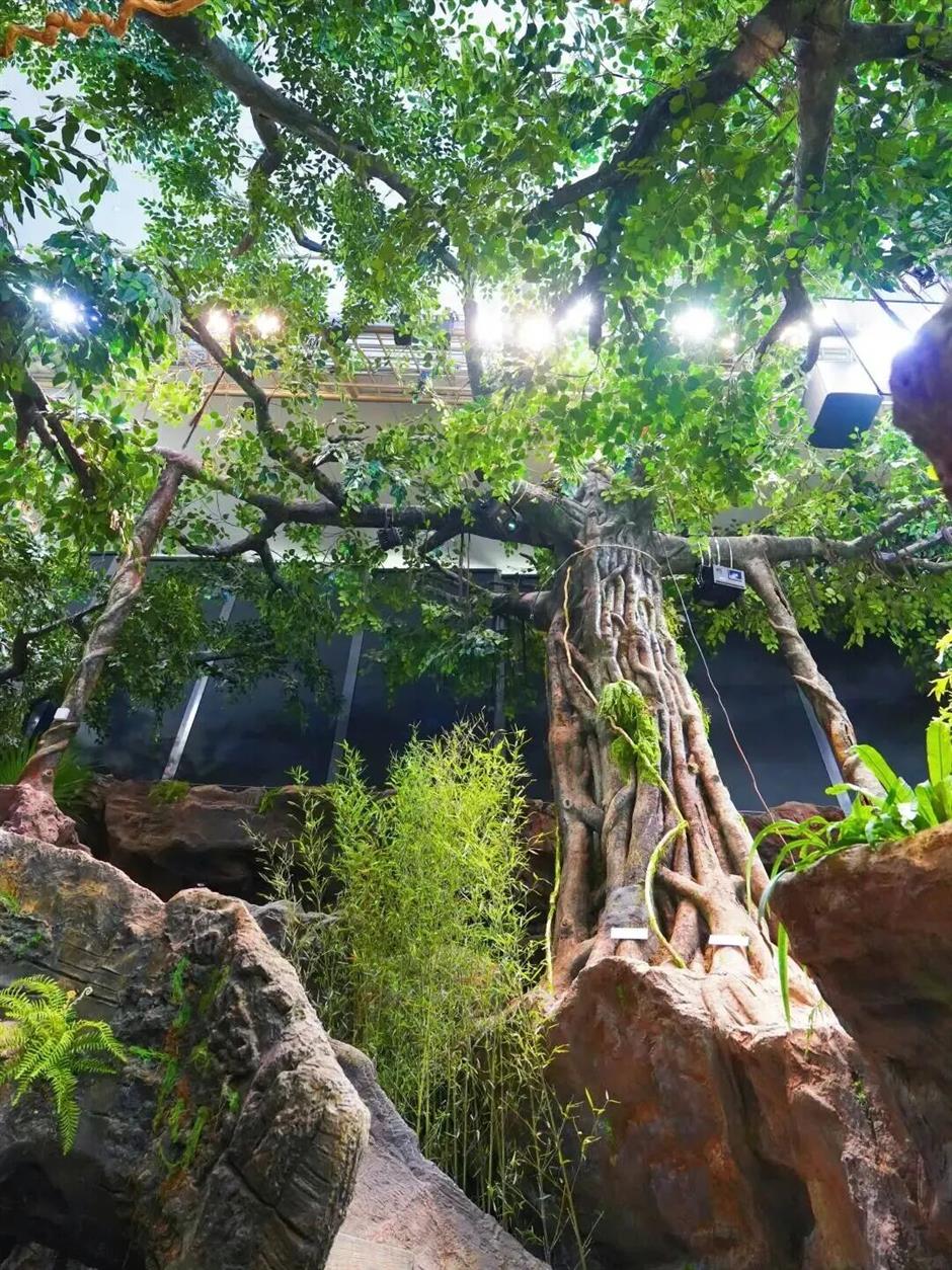 热带雨林+1!上海这些秘境绿意拉满!