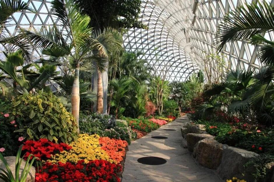 热带雨林+1!上海这些秘境绿意拉满!