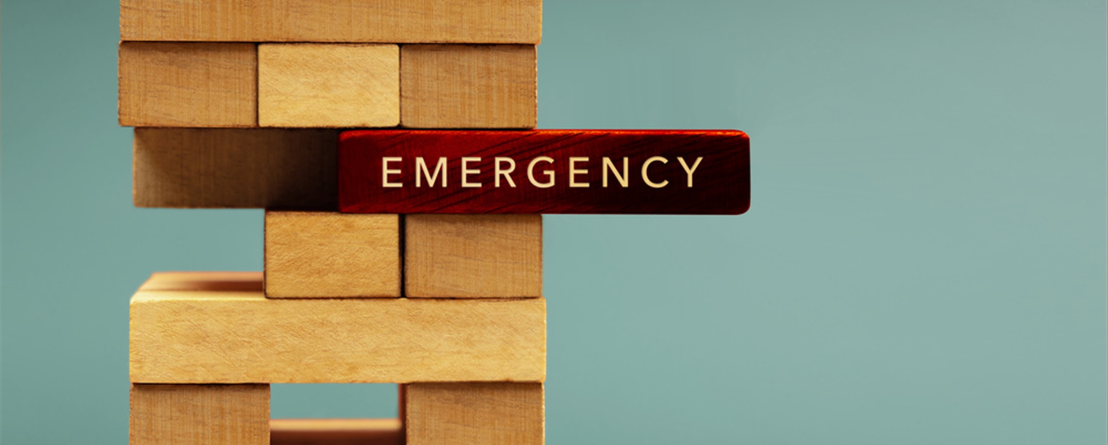 Yangtze River Delta Steps Up Emergency Coordination with Expo, AI and Revised Plans