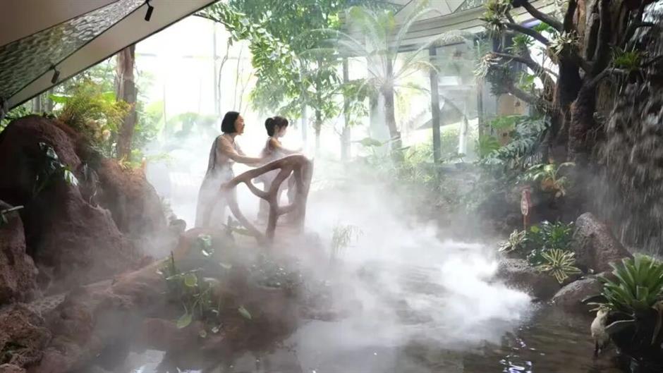 热带雨林+1!上海这些秘境绿意拉满!