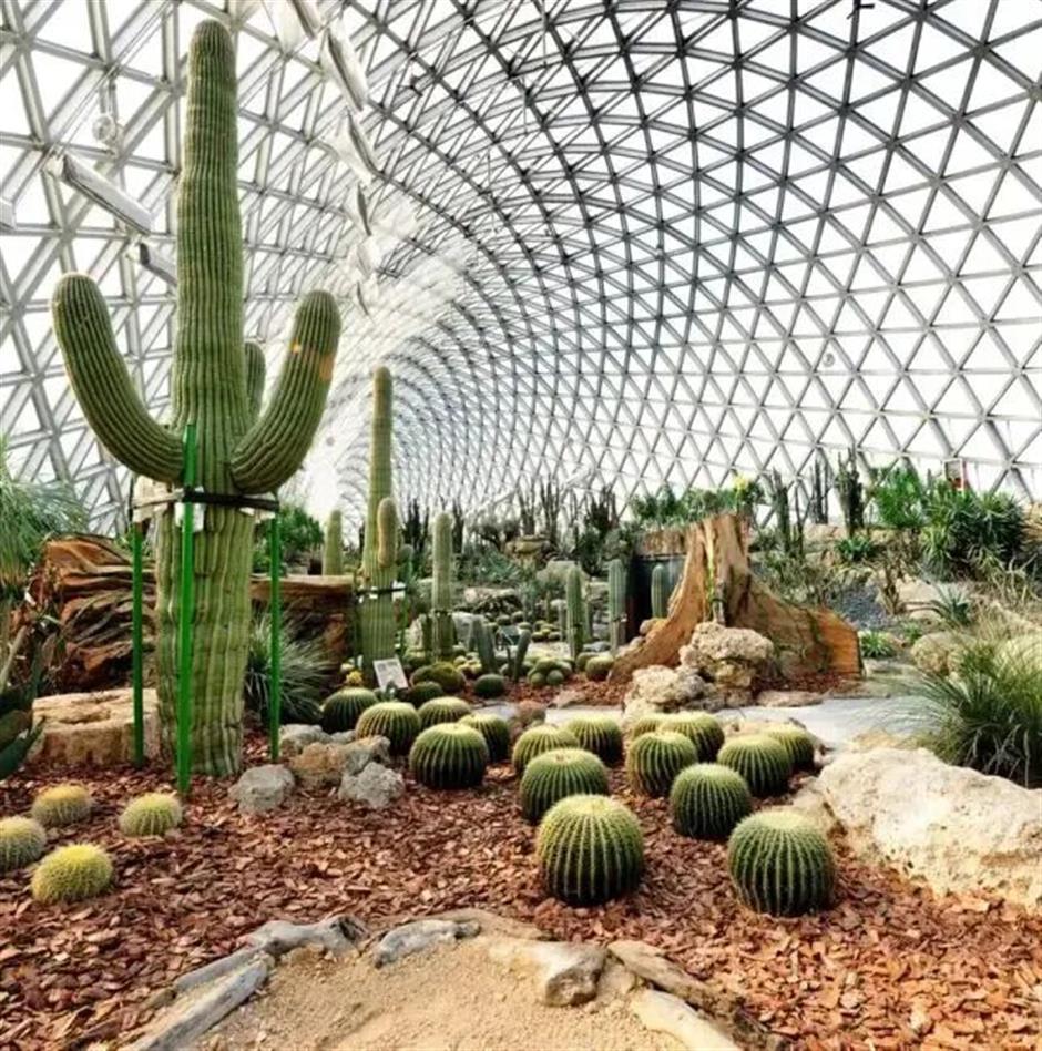 热带雨林+1!上海这些秘境绿意拉满!