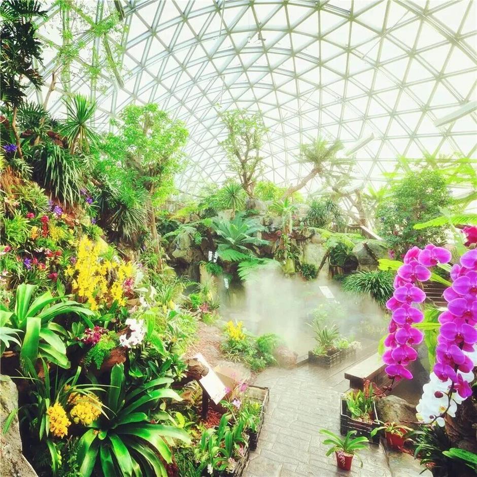 热带雨林+1!上海这些秘境绿意拉满!