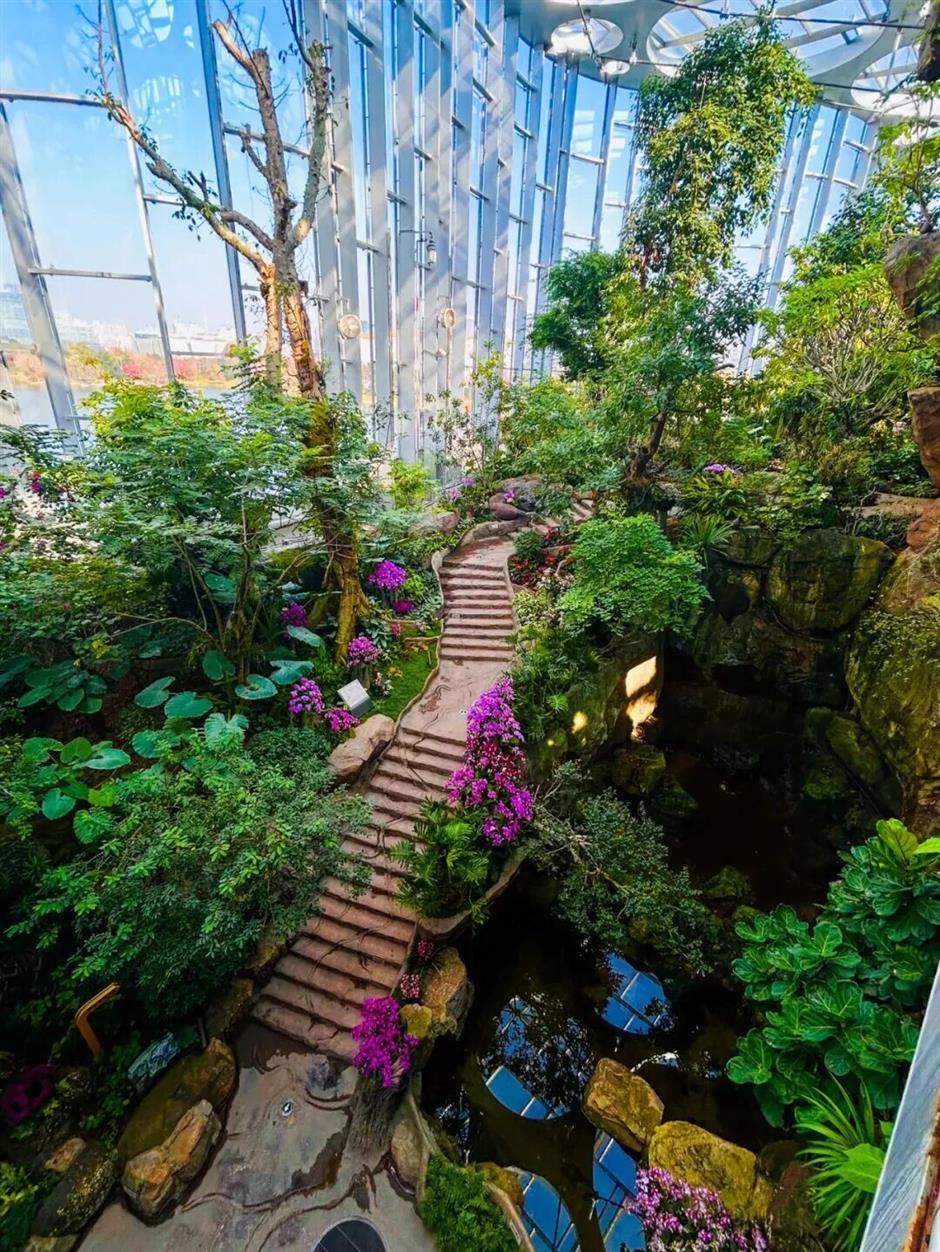 热带雨林+1!上海这些秘境绿意拉满!