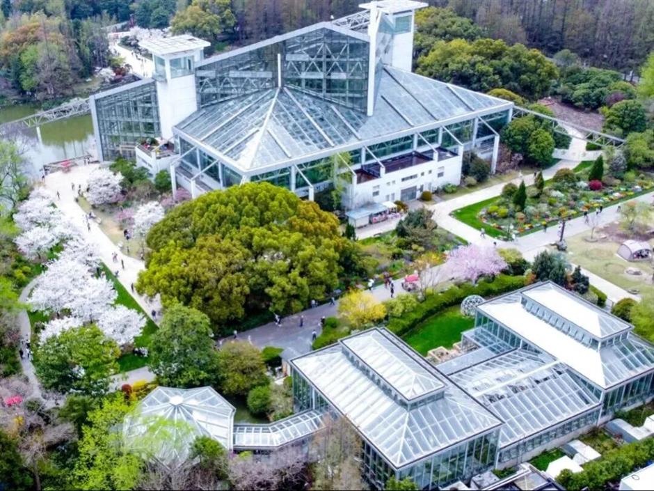 热带雨林+1!上海这些秘境绿意拉满!