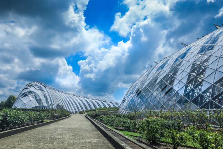 热带雨林+1!上海这些秘境绿意拉满!