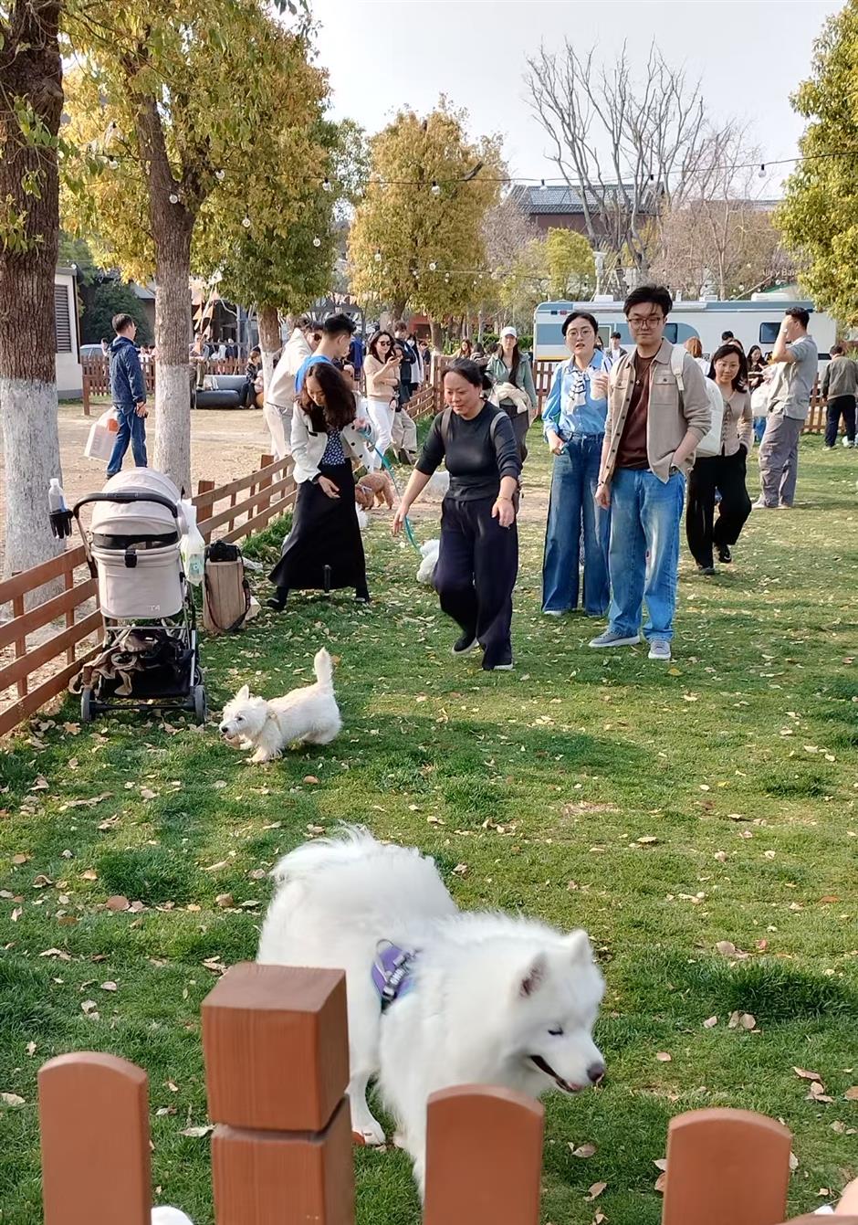 Pawsome City: Creating an Environment Where People, Pets Coexist in Harmony
