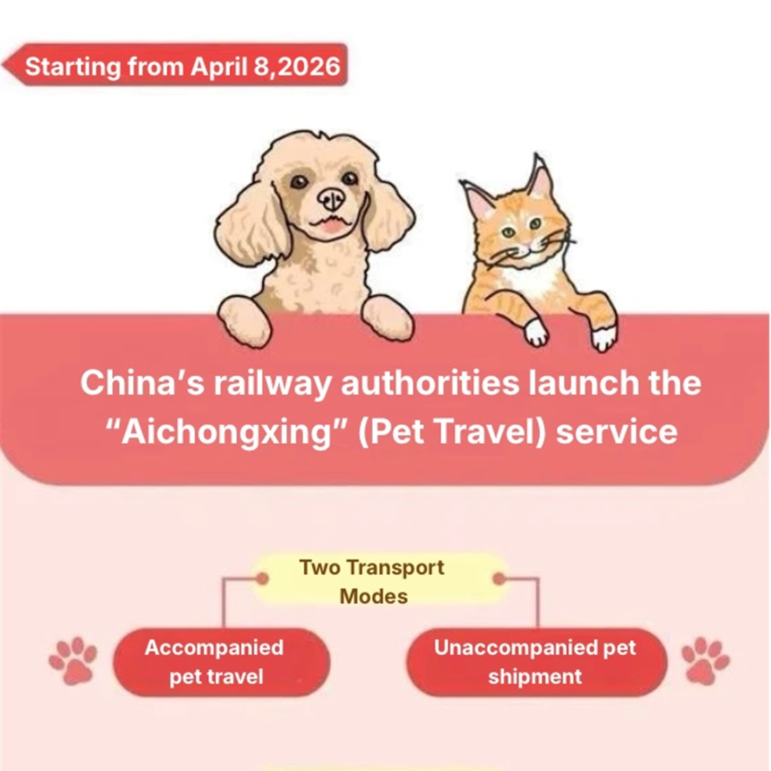 [Explainer] China Expands High Speed Rail Pet Travel