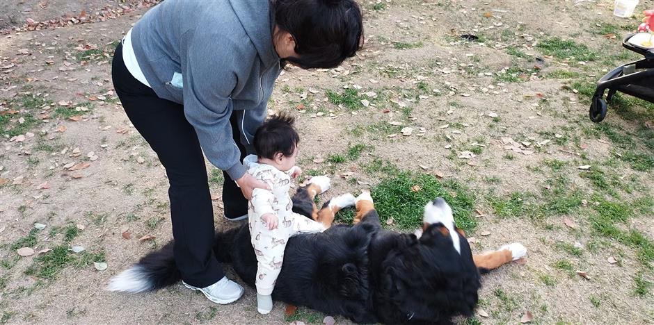 Pawsome City: Creating an Environment Where People, Pets Coexist in Harmony