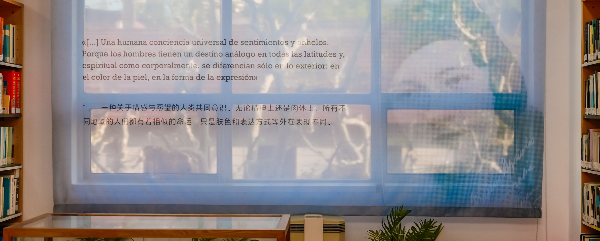 A Life Between Languages Finds a Home in Shanghai